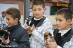 San Anton 2012 - 32